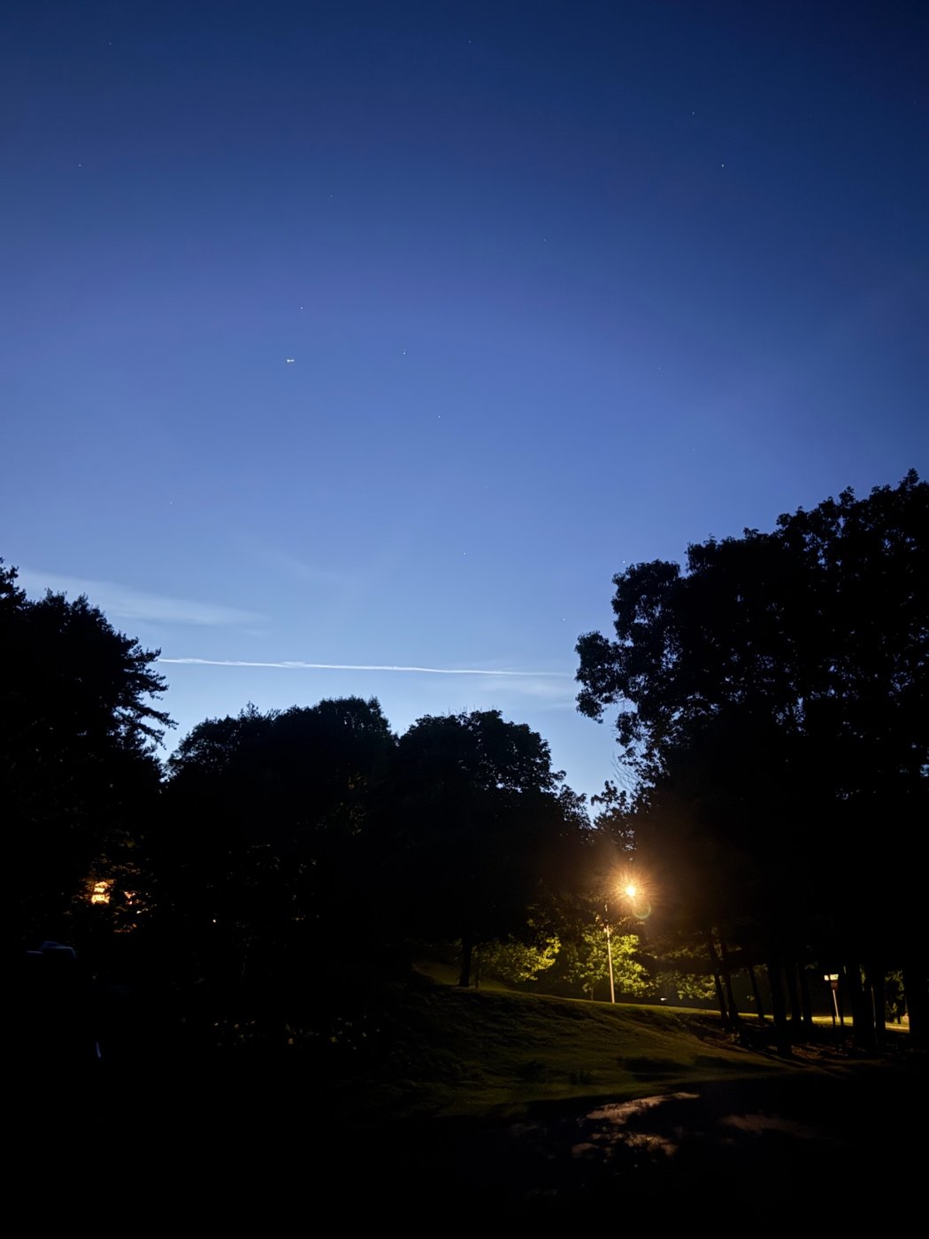 A park at blue hour with a lamp glowing under the trees, photo by Nicholas J. Tropiano